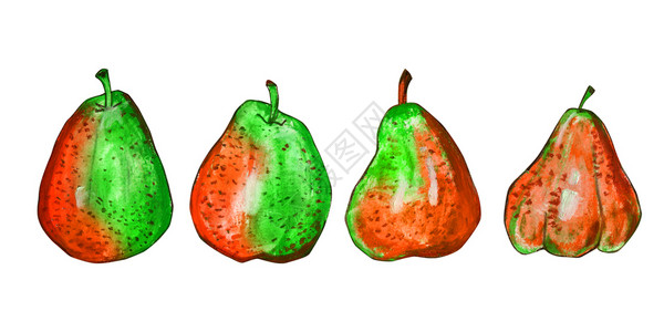 手绘绿梨健康秋天有机的白底橙色和绿斑点果实上隔离的一套梨子为食品标签设计绘制手工涂油糊面图解白底泥子系列被孤立的生态产品背景
