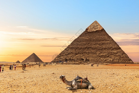 景观人们埃及金字塔的骆驼吉萨文明图片