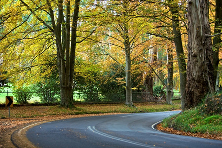 秋天弯曲的公路图片