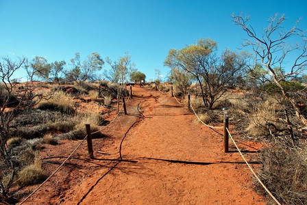 澳洲外背井离乡的明日和阳光环境天爬坡道图片