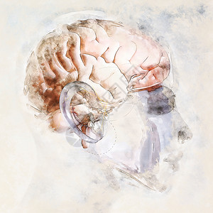 必需的射线思维素描人脑中基于自身3D招标不需要财产释放的人类脑数位艺术拼图设计图片