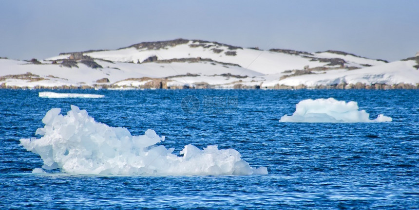 极栖息地冰山蓝花漂浮流北极斯匹茨贝根瓦尔巴挪威欧洲气候学图片
