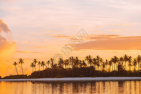 自然树林美丽的夕阳棕榈树双影和色彩多的天空在奇异岛屿上完美白色海滩理想岛上有绿水冷清背景图片