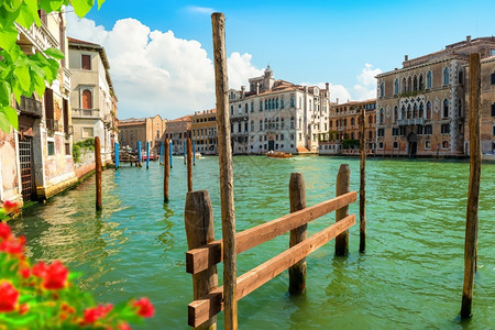 文化夏天意大利威尼斯运河上的鲜花图片