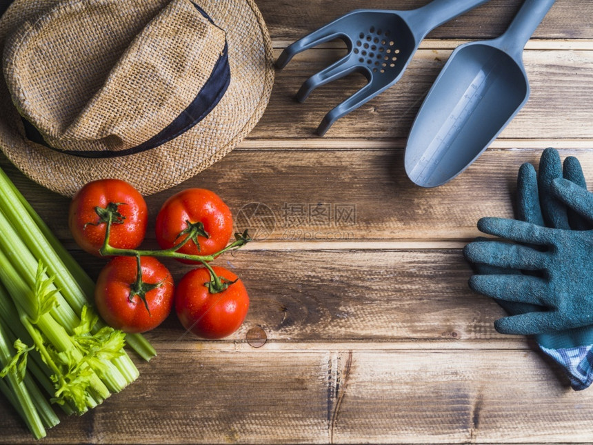 手香菜配有园艺设备的西红柿菜木板和蔬设备柜台图片
