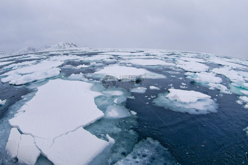 景观漂流冰阿尔伯特一号陆地北极斯匹茨贝根瓦尔巴挪威欧洲土地海洋图片