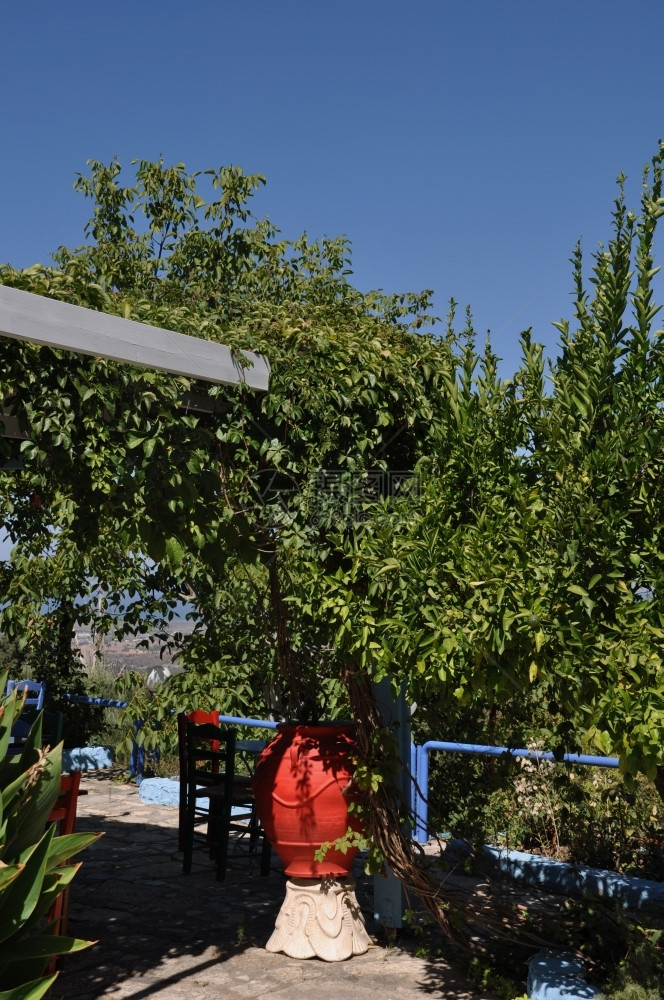 建筑的希腊齐亚科斯岛色彩缤纷典型的希腊小酒馆场景语绿色图片