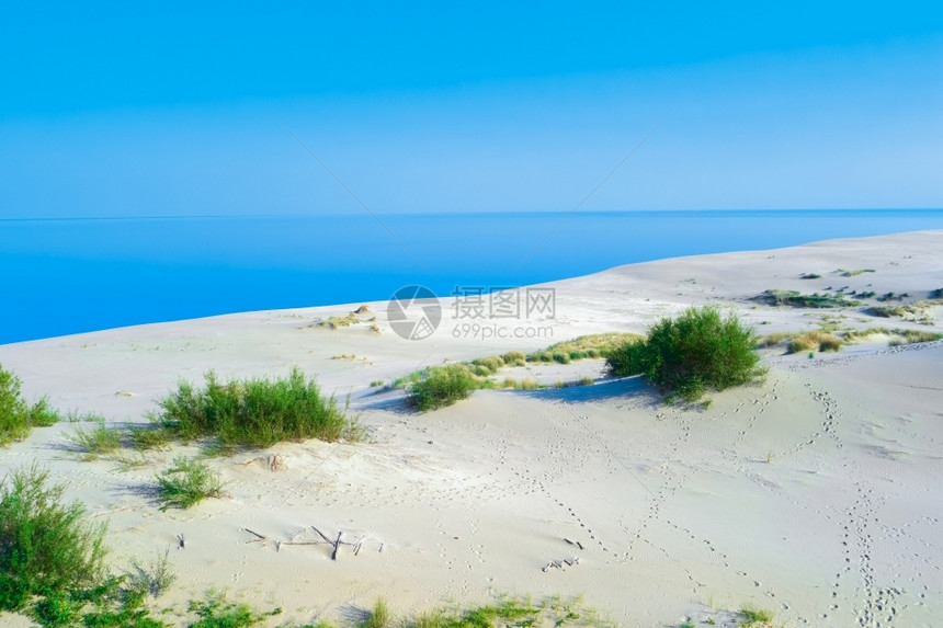 海滩干燥夏季风景有白色沙丘灌丛和天空的白沙丘丛林和天空世界图片