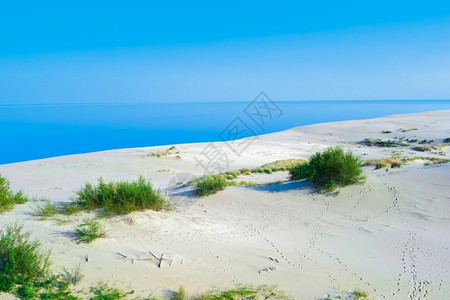 克莱佩达海滩干燥夏季风景有白色沙丘灌丛和天空的白沙丘丛林和天空世界背景