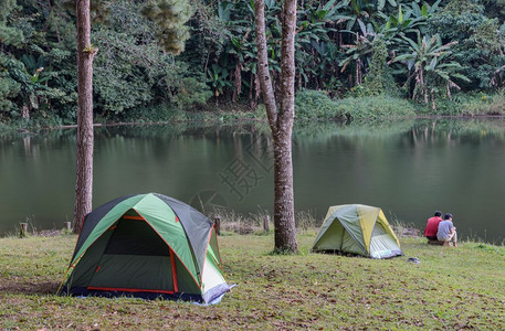 公园湖边松树林附近的露营帐篷图片