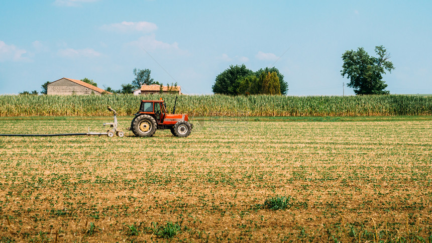 风景庄稼红色拖拉机在阳光明媚的蓝日在田里装水龙头红色拖拉机在阳光晴凉的日在田里装水龙头卷图片