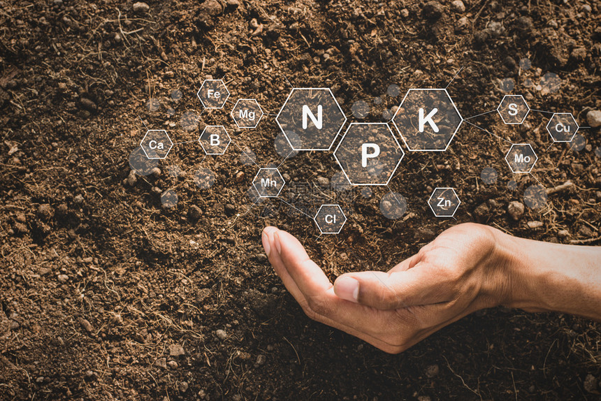 氮腐殖质镁Menrrrqops手被富饶的土壤环绕着有生长所需的元素而数字图标代表元素图片