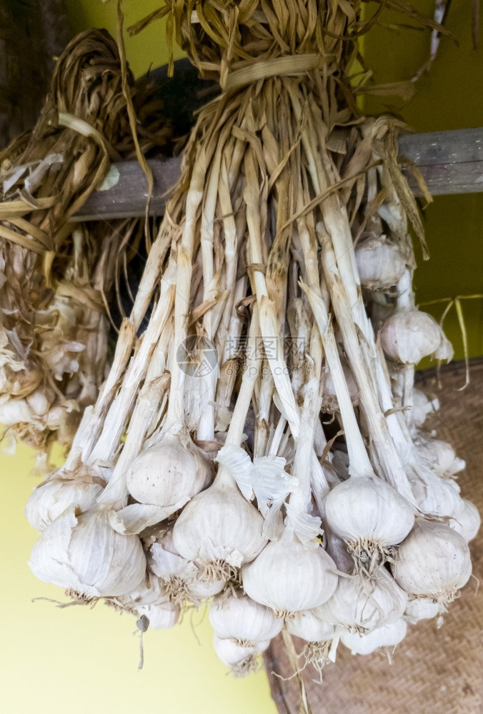 分支大蒜的枝挂在泰国乡间房屋的露台附近在室内芳香图片