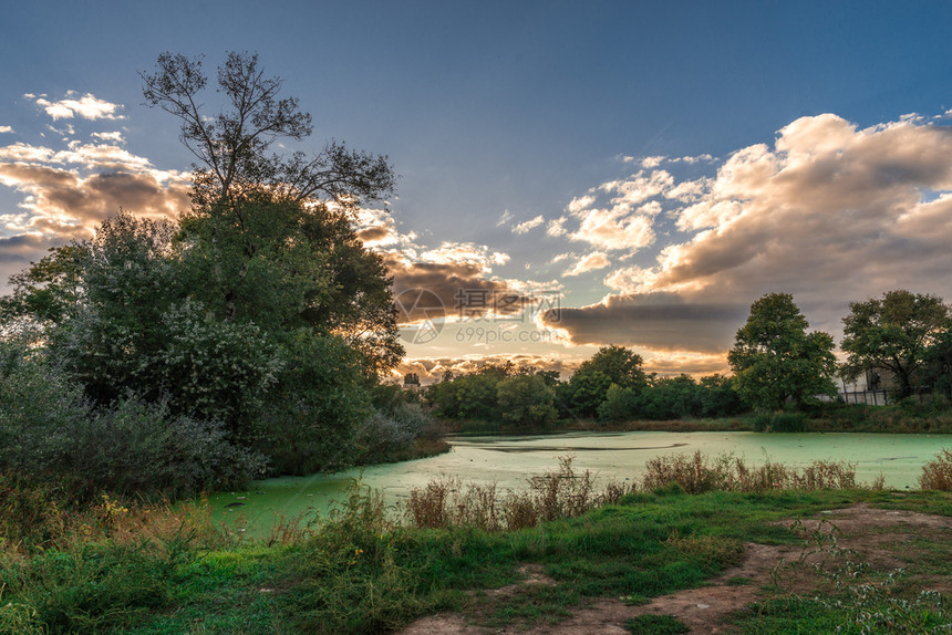 景观夏季一天以鸭草和泥土覆盖着旧肮脏绿池塘的全景以鸭草和泥铺着旧肮脏绿池塘的全景扣押污染图片