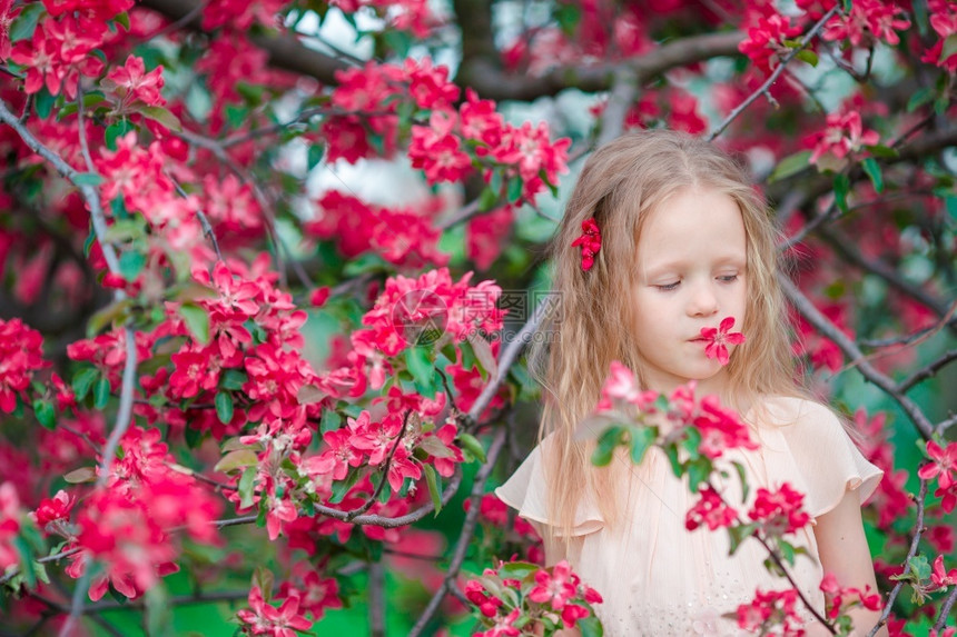 美丽的春日在盛开苹果园中可爱的小女孩在美丽的春天节上美丽漂亮的孩子肖像穿着衣服回到地上的树花丽可爱的小女孩微笑童年花的图片