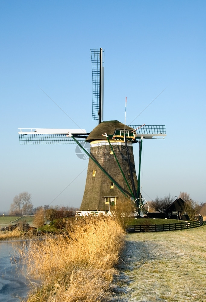 荷兰DenHaag附近典型的荷兰风车草天空优质的图片