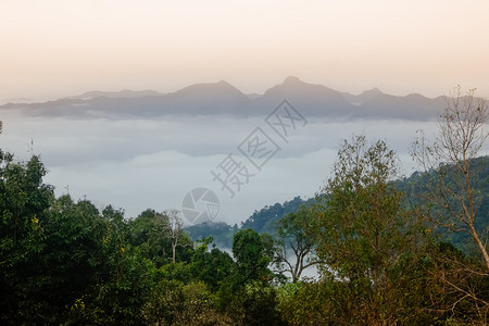 森林黎明时的海云其背景为泰国南沙布里家公园南省山地脉图景NanthaburiNationalParkNan省生态处女图片