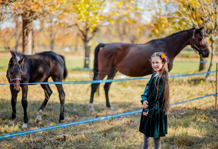 快乐女孩骑马站在棚的栅栏附近一个孩子坐在马背上野和花头女孩在腰上手推站在棚的围栏旁边牧场训练美丽的图片