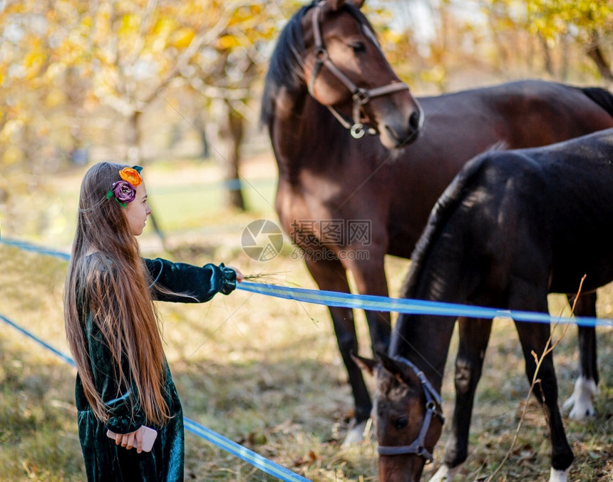 情感快乐女孩骑马站在棚的栅栏附近一个孩子坐在马背上野和花头女孩在腰上手推站在棚的围栏旁边漂亮牧场图片