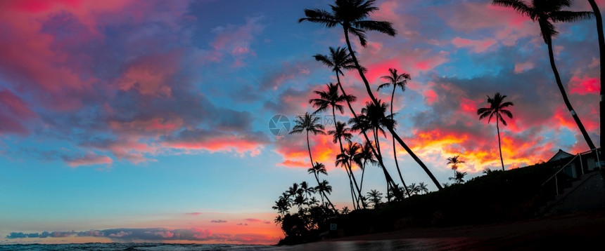 岛晴天地平线高大棕榈树的美丽全景和天空中令人惊叹的红色和紫云朵美丽的高大棕榈树全景和天空中令人惊叹的红色和紫云朵图片