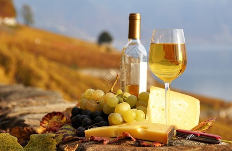 葡萄栽培分支瑞士Lavaux地区露台葡萄园的酒杯和瓶子蒙特勒图片