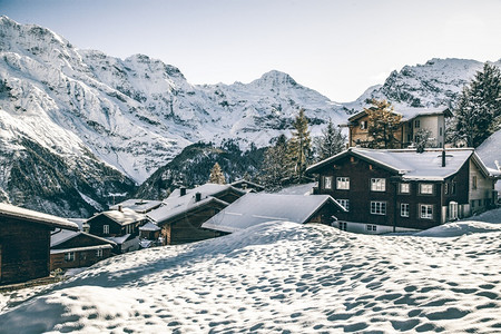 冬季雪景风光图片