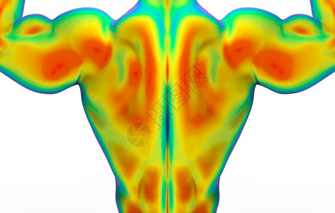 3d通过红外线结构测量将人体肌肉身扫描的后侧顶部分与白色背景上隔离的剪切路径相测量地方病研究渲染设计图片