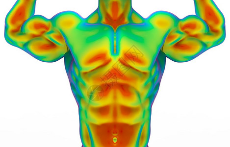 VI基础部分科学最佳通过红外线结构测量用白色背景隔离的剪切路径进行人体肌肉扫描的前侧顶部分3d经过设计图片