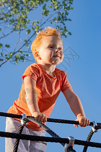 活动积极的小男孩站在游乐场的绳索上满怀信心地看着远处新的成长飞禽树图片