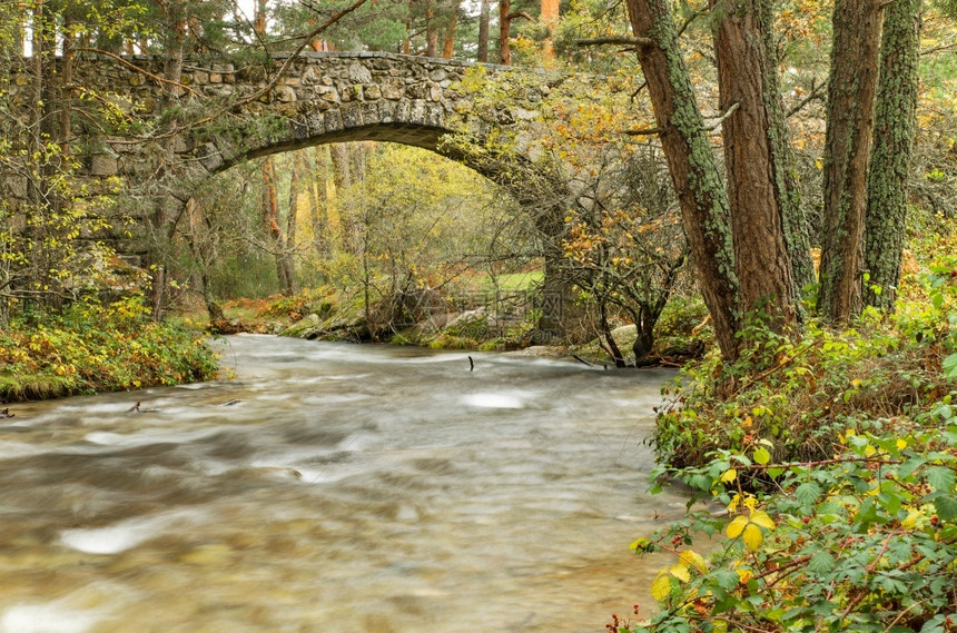 秋天水叶子西班牙塞戈维亚雨天BocadelAsno自然公园森林中一条河流的景象图片