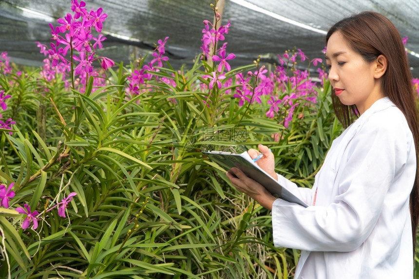 生物学快乐的研究员植物兰花身戴白帽子手拿着笔和记本作研究录白色的丰富多彩图片