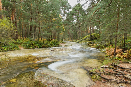 埃瑞斯玛西班牙塞戈维亚雨天BocadelAsno自然公园森林中一条河流的景象新鲜一种黄色背景