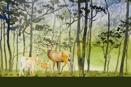 手绘小鹿线稿原始动物鹿家庭概念和生态草地的森林水彩色风景动物鹿的家庭概念和生态草地农村原型画图纸绿树背景冬季美丽自然节绘画抽象的艺术背景