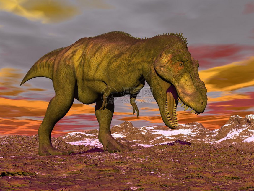 捕食者横冲直撞的暴龙恐在沙漠中走橙色阴云寒冬日的沙漠中嘴张开露出牙齿多云的肉食动物图片