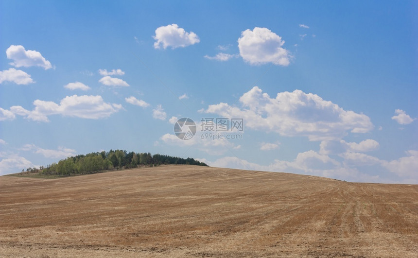 树景观场地阳光明媚的夏日麦田连绵起伏的农场山丘阳光明媚的夏日麦田连绵起伏的农场山丘图片