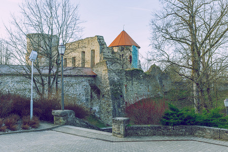 切西斯拉脱维亚13世纪城市塞西斯堡冬季有公园102自然树木堡垒背景