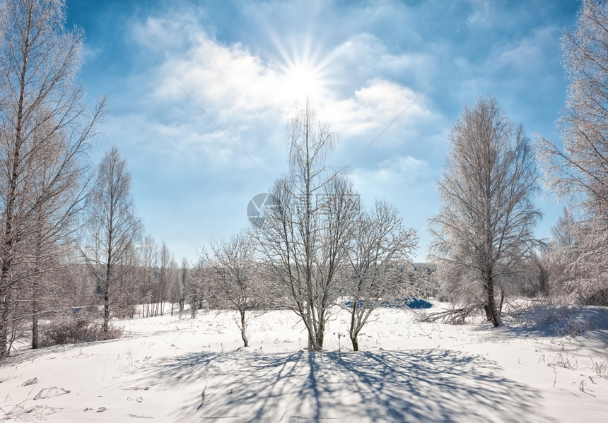 宁静风景优美阳光明媚寒冬日亮的阳光中落雪树木景观图片