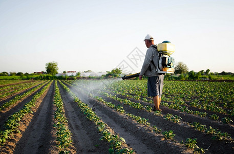 鼓风机器采用农民在种植园喷洒杀虫剂使用化学品保护植物免受昆虫和真菌感染农田工作业和工杀虫剂和菌背景