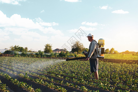 农民在种植园喷洒杀虫剂使用化学品保护植物免受昆虫和真菌感染农林开展药和杀真菌剂的田间工作农业和用工机器喷雾剂场地背景
