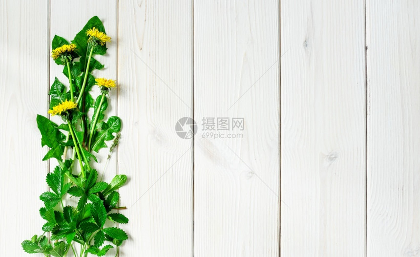出去生物木制白色背景的丹德尔春季野花配有复制空间的布局装饰新鲜沙律树苗健康蔬菜食品脱毒图片