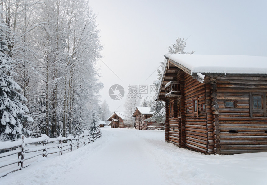 大厦北部露天博物馆MalyeKorely靠近俄罗斯寒冬日Arkhanglesk的MalyeKorely树白色的图片