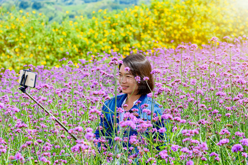 农场植物紫色女旅游者在VerbenaBonariensis紫花田或顶Vervain的阳光下在泰国Phetchabun的KhaoK图片