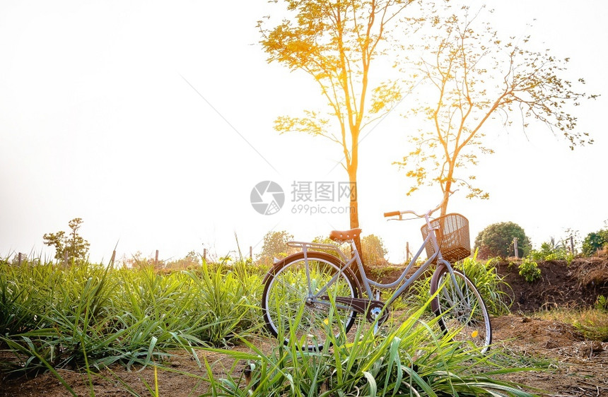 场地田野上漂亮的老式自行车阳光多彩对贺卡和邮采用蓝天空旧式过滤器样快乐的城市图片