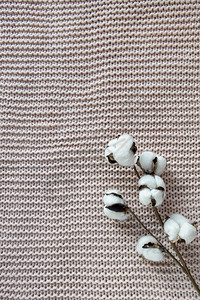 棉纹背景的一串花床上粉色毯子顶层视图近缝合复制空间概念舒适自然布料内部细节用于装饰文具的微小风格花分支粉彩背景图片