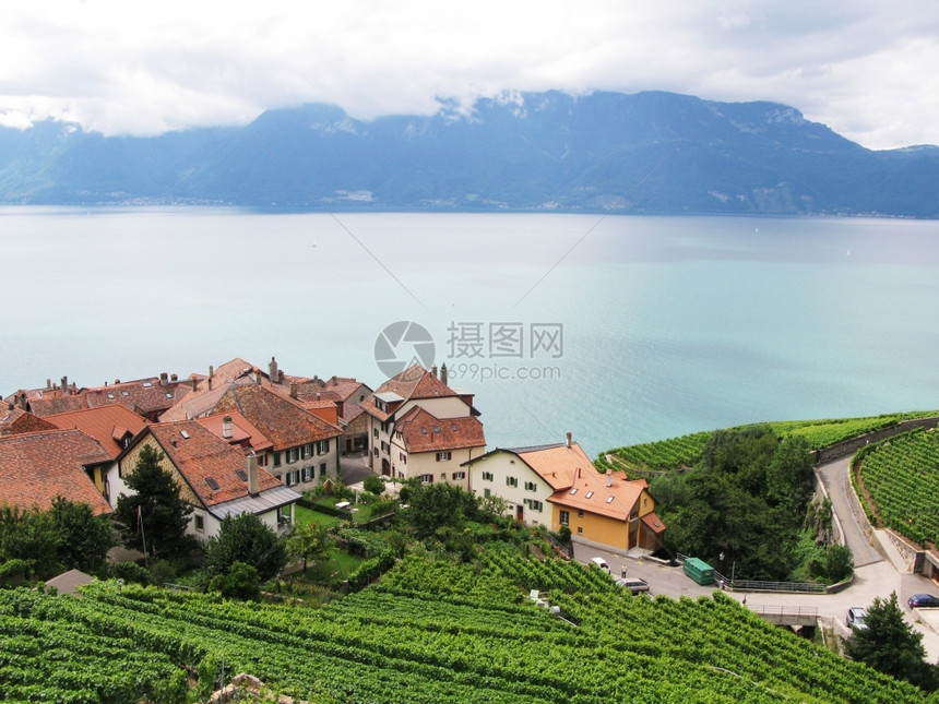 喝藤蔓村庄与日内瓦瑞士湖对抗的拉沃州Lavaux地区的Momouse葡萄园图片