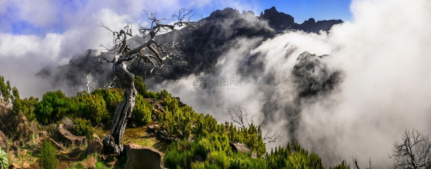 攀登马德拉山地人徒步穿越小道前往皮科鲁伊沃岛最高点拥有惊人的神奇风景步行最佳图片