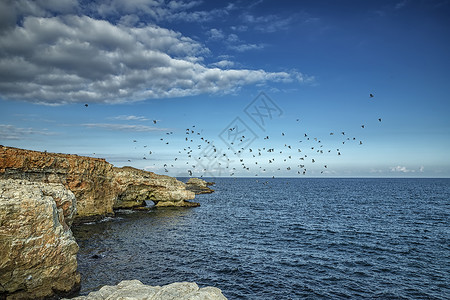 秋莱诺沃边缘一种欧洲保加利亚黑海Tyulenovo村附近有一只飞鸟在海岸线悬崖边的突出景观背景
