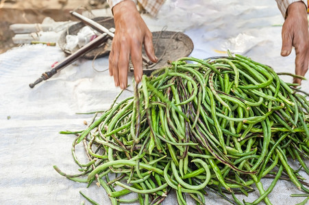 草药措施碗有机当地院子长豆类供户外Asian市场销售图片