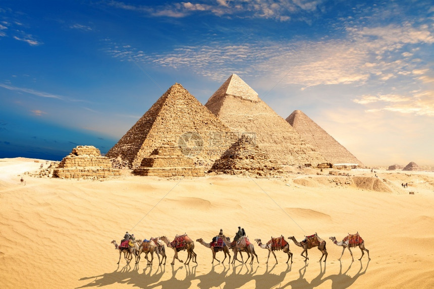 埃及人金字塔在吉扎沙漠中的一辆骆驼大篷车和贝杜因呸伟大的图片
