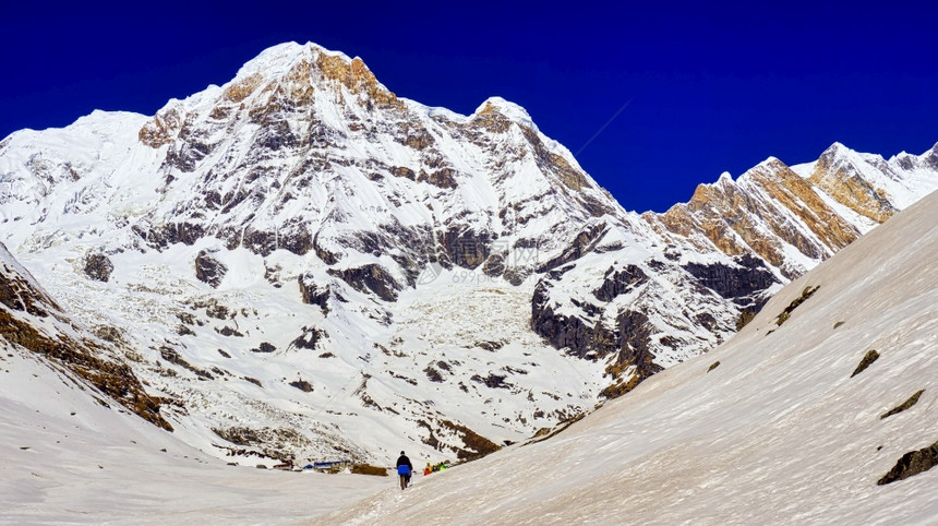 野生动物多样AnnapurnaSouthAnnapurnaRangeTrektoAnnapurnaBaseCampAnnapur图片